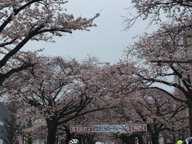 f:id:shimablog:20150407091740j:plain f:id:shimablog:20150407091740j:plain