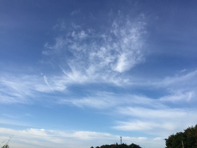 f:id:shimablog:20150611160841j:image f:id:shimablog:20150611160841j:image