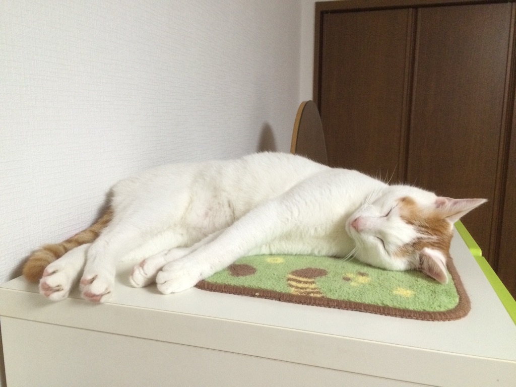 f:id:shimadayohey:20150726232022j:image f:id:shimadayohey:20150726232022j:image