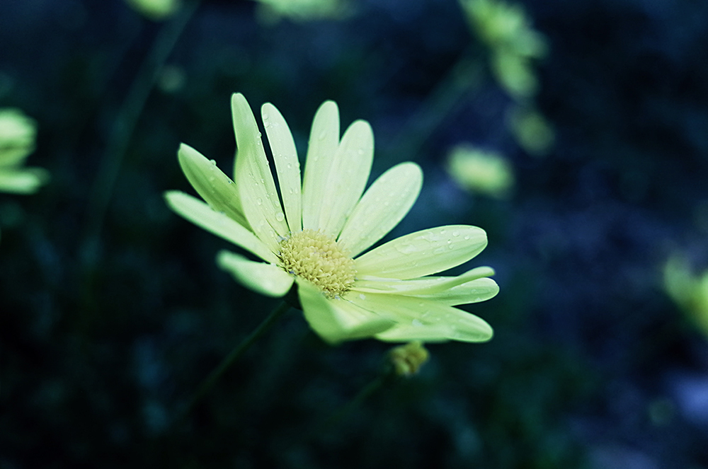 f:id:shimizum:20151125172446j:plain f:id:shimizum:20151125172446j:plain