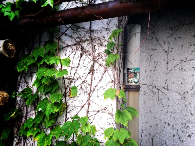 f:id:shimokitannchu:20150525083702j:plain f:id:shimokitannchu:20150525083702j:plain