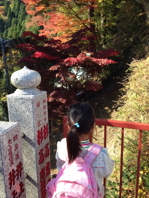 f:id:shin_kuroiwa:20141117170225j:plain f:id:shin_kuroiwa:20141117170225j:plain