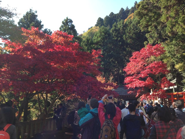 f:id:shin_kuroiwa:20141117171901j:plain f:id:shin_kuroiwa:20141117171901j:plain