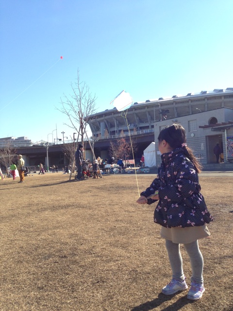 f:id:shin_kuroiwa:20150112131938j:plain f:id:shin_kuroiwa:20150112131938j:plain