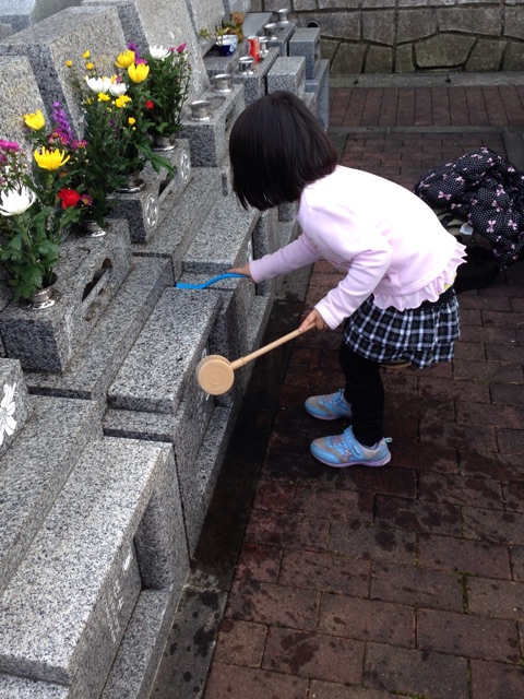 f:id:shin_kuroiwa:20150323151338j:plain f:id:shin_kuroiwa:20150323151338j:plain