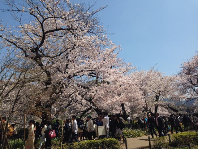 f:id:shin_kuroiwa:20150404181449j:plain f:id:shin_kuroiwa:20150404181449j:plain