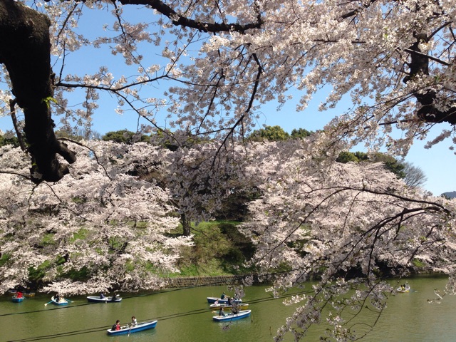 f:id:shin_kuroiwa:20150404181504j:plain f:id:shin_kuroiwa:20150404181504j:plain