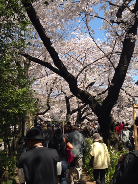 f:id:shin_kuroiwa:20150404181529j:plain f:id:shin_kuroiwa:20150404181529j:plain