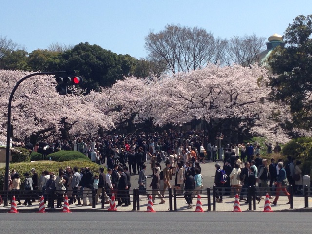 f:id:shin_kuroiwa:20150404181545j:plain f:id:shin_kuroiwa:20150404181545j:plain