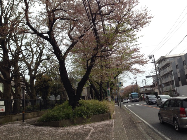 f:id:shin_kuroiwa:20150420121436j:plain f:id:shin_kuroiwa:20150420121436j:plain