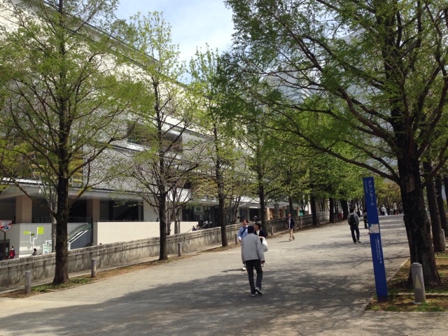 f:id:shin_kuroiwa:20150423141851j:plain f:id:shin_kuroiwa:20150423141851j:plain