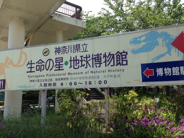 f:id:shin_kuroiwa:20150507125647j:image f:id:shin_kuroiwa:20150507125647j:image