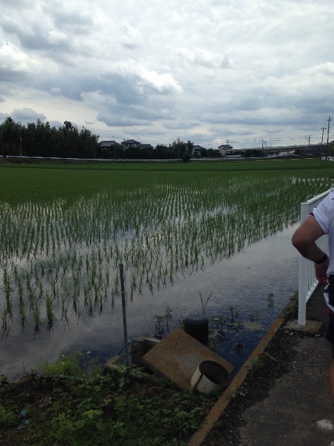f:id:shin_kuroiwa:20150609180350j:image f:id:shin_kuroiwa:20150609180350j:image