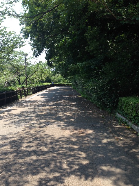f:id:shin_kuroiwa:20150713123918j:image f:id:shin_kuroiwa:20150713123918j:image
