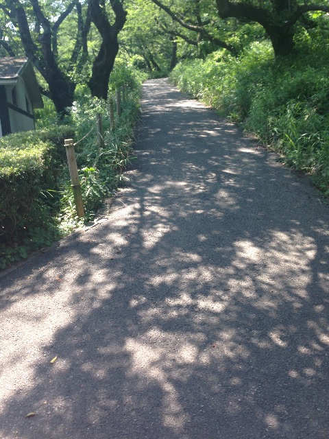 f:id:shin_kuroiwa:20150713123927j:image f:id:shin_kuroiwa:20150713123927j:image