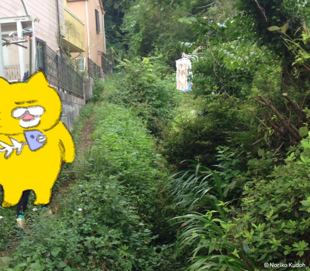 f:id:shin_kuroiwa:20150914092640j:image f:id:shin_kuroiwa:20150914092640j:image