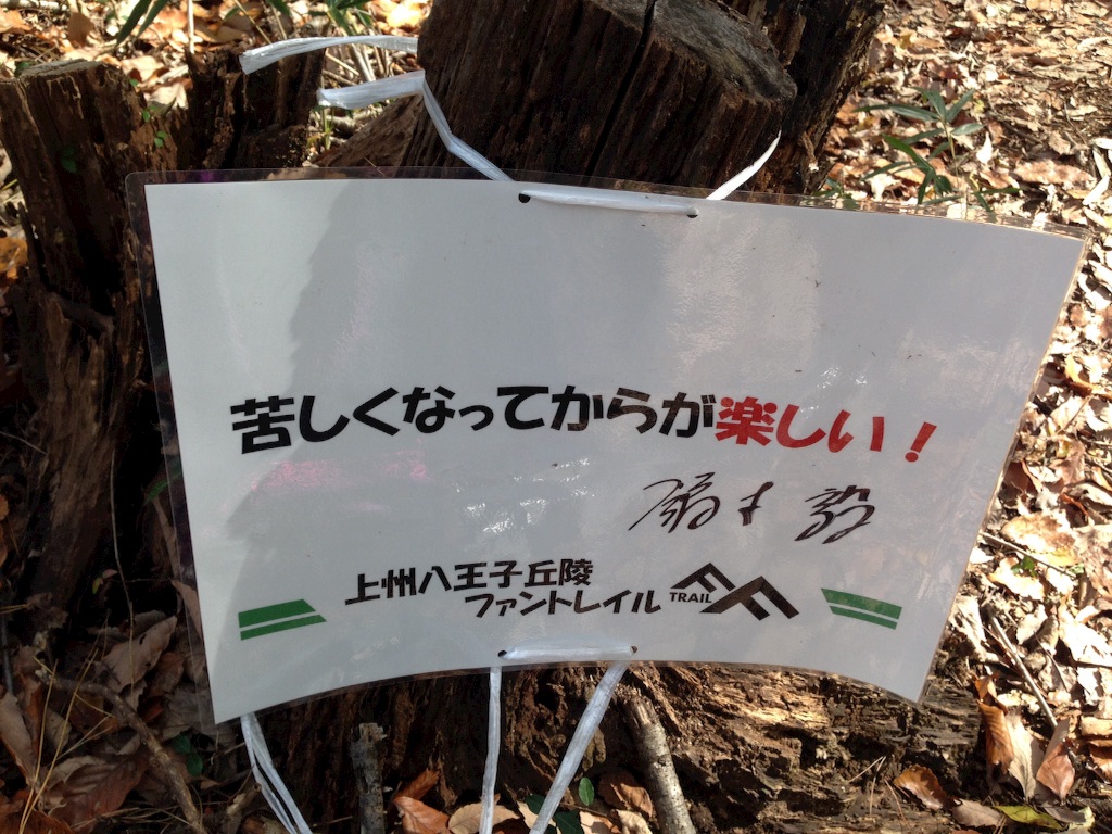 f:id:shin_kuroiwa:20151121141341j:image f:id:shin_kuroiwa:20151121141341j:image