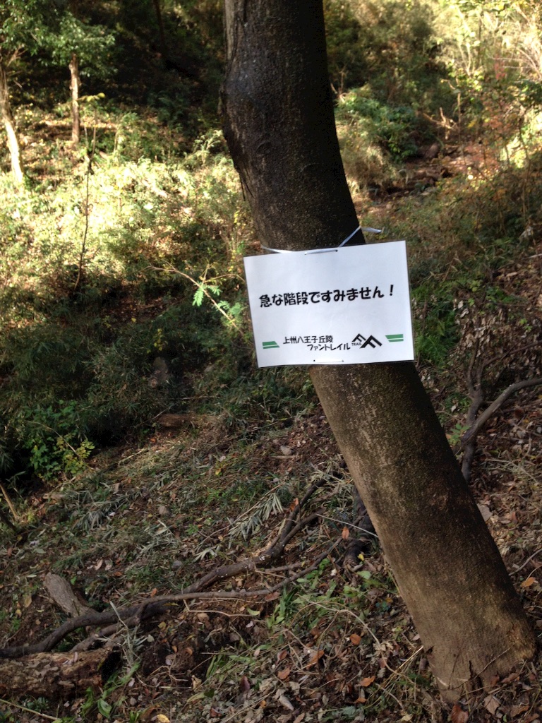 f:id:shin_kuroiwa:20151122132953j:image f:id:shin_kuroiwa:20151122132953j:image