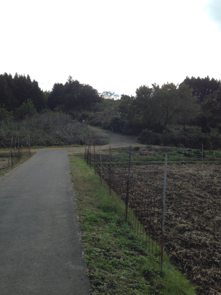 f:id:shin_kuroiwa:20151124002439j:image f:id:shin_kuroiwa:20151124002439j:image