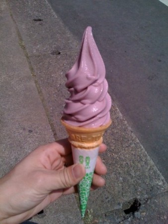 f:id:shingo64:20090503232521j:image:h300 f:id:shingo64:20090503232521j:image:h300