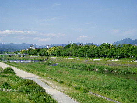 id:shingoy103:20070521144314j:image