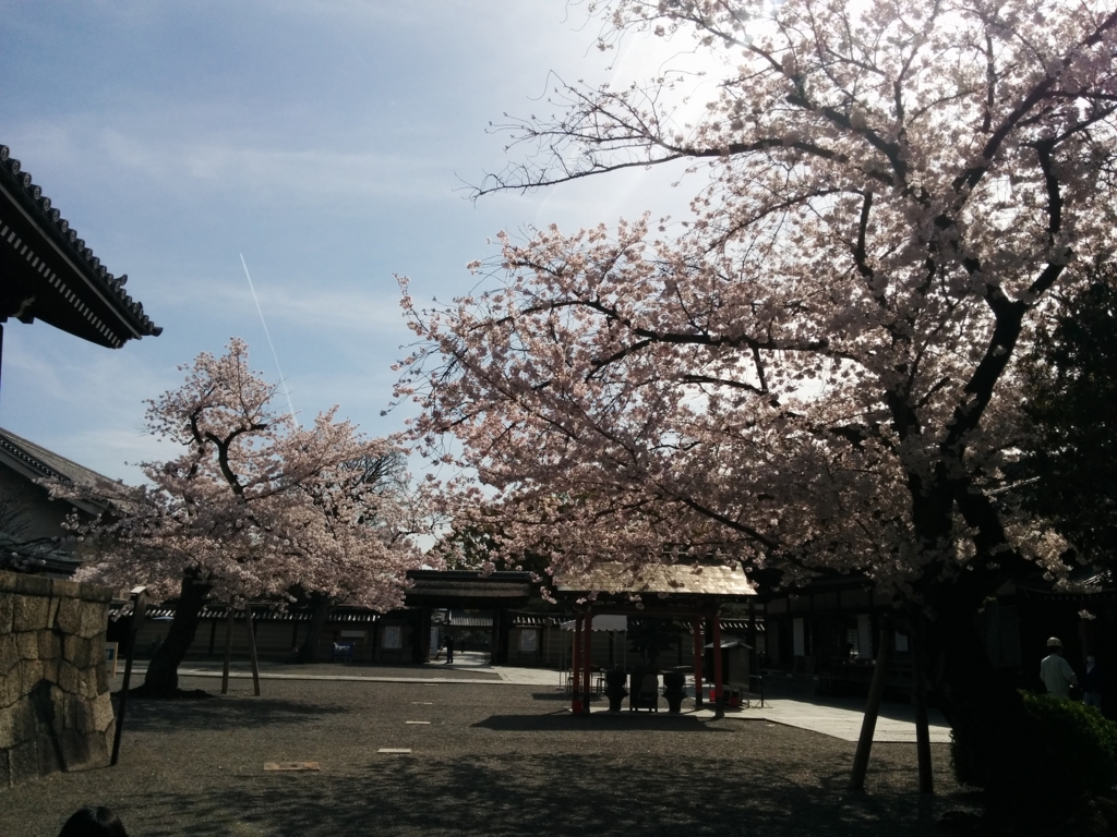 f:id:shino-k7110:20160406111601j:plain f:id:shino-k7110:20160406111601j:plain