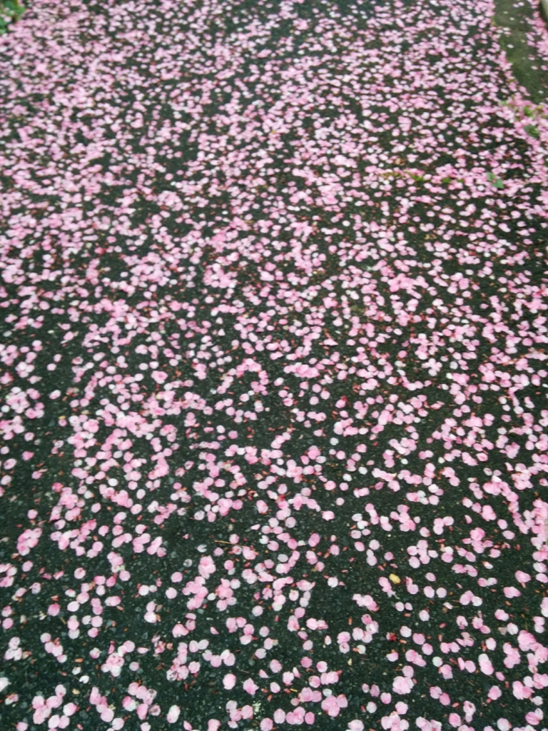 f:id:shino-k7110:20160406111646j:plain f:id:shino-k7110:20160406111646j:plain