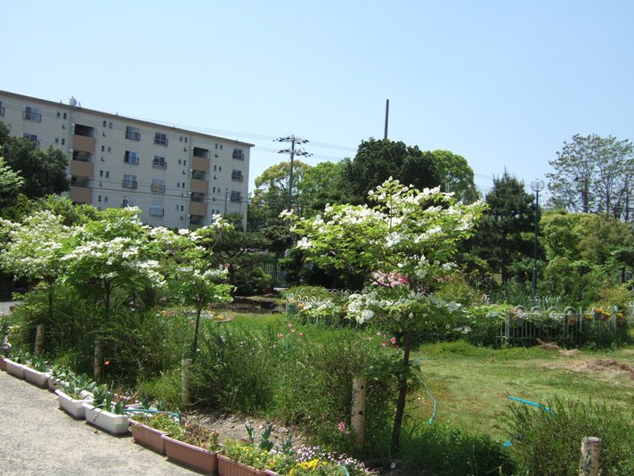 f:id:shinoda-j:20140429181847j:plain f:id:shinoda-j:20140429181847j:plain