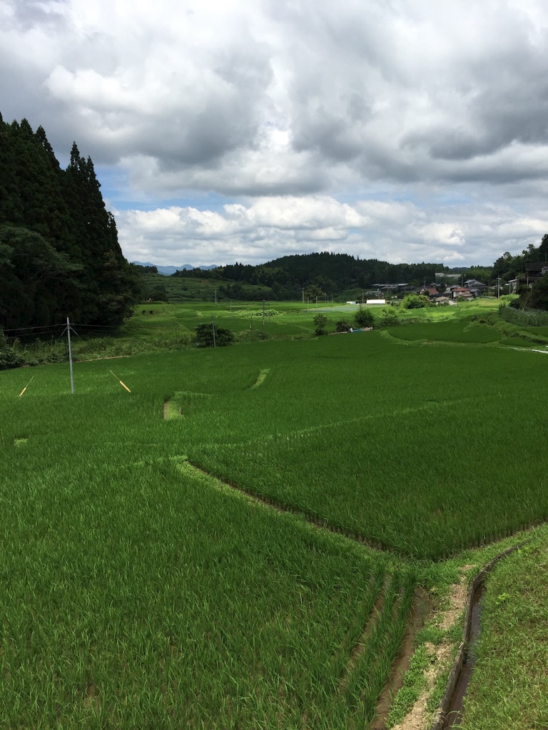f:id:shinpeikondo:20160715190145j:image f:id:shinpeikondo:20160715190145j:image