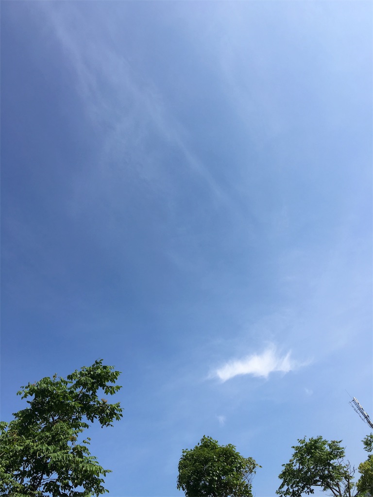 f:id:shinseisei:20160516220722j:image f:id:shinseisei:20160516220722j:image