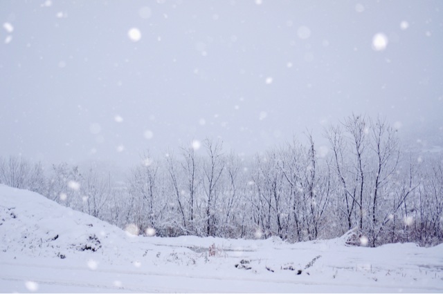 f:id:shiny1793:20131228200928j:plain f:id:shiny1793:20131228200928j:plain