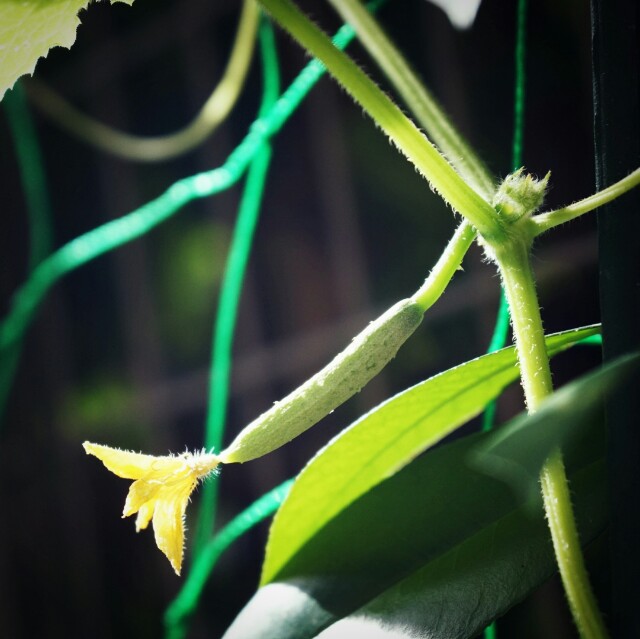 f:id:shiny1793:20150714202042j:image f:id:shiny1793:20150714202042j:image