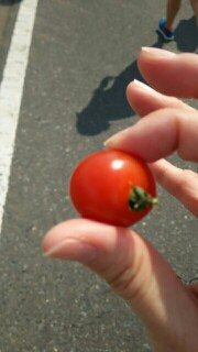 f:id:shiomine:20160329133733j:image f:id:shiomine:20160329133733j:image
