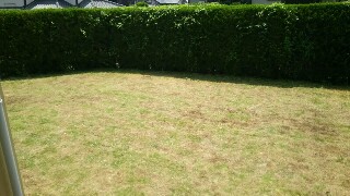 f:id:shiomine:20160718132239j:image f:id:shiomine:20160718132239j:image