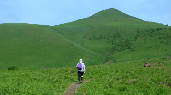 f:id:shioshiohida:20090526091922j:image f:id:shioshiohida:20090526091922j:image