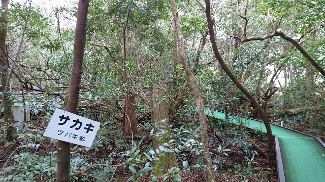 f:id:shiotaman:20160419074040j:image f:id:shiotaman:20160419074040j:image