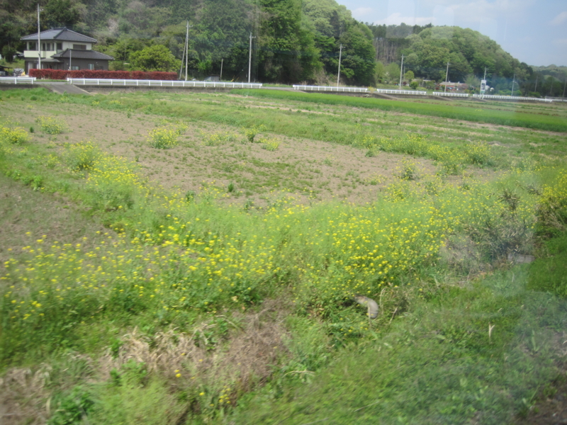 f:id:shippo4:20150424104206j:plain f:id:shippo4:20150424104206j:plain