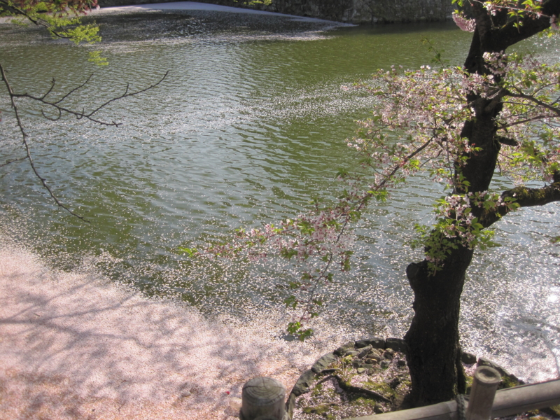f:id:shippo4:20150424150417j:plain f:id:shippo4:20150424150417j:plain