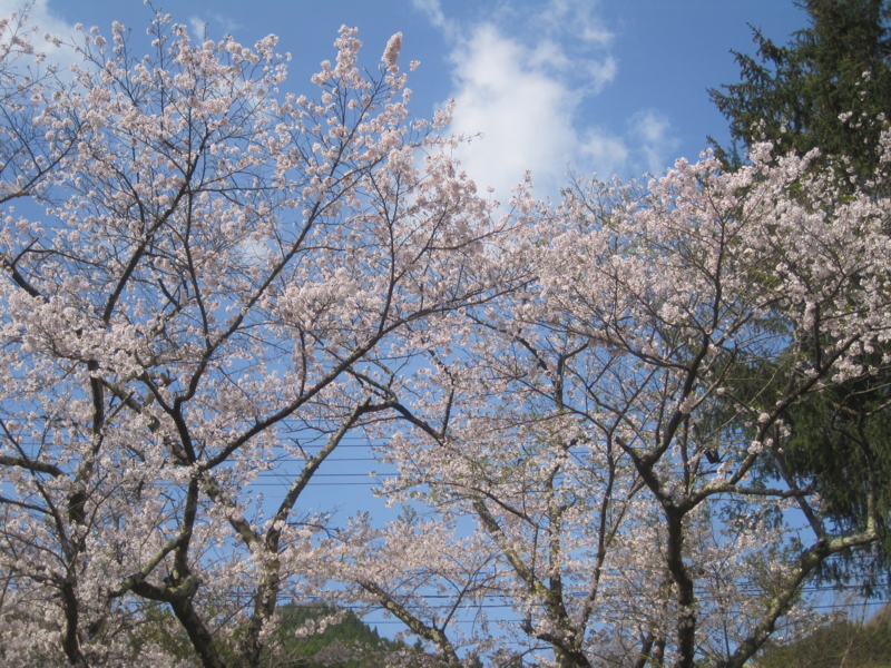f:id:shippo4:20150425083326j:plain f:id:shippo4:20150425083326j:plain