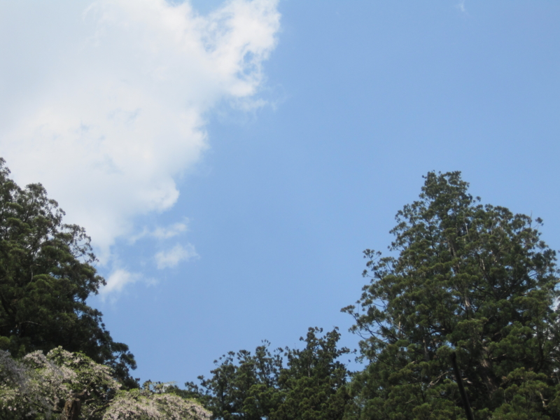 f:id:shippo4:20150425131712j:plain f:id:shippo4:20150425131712j:plain