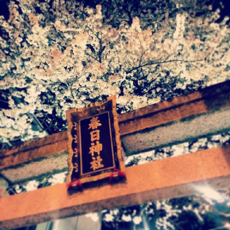 20140403004108.jpg