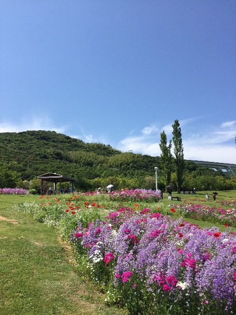f:id:shiroanchan:20150524203721j:image f:id:shiroanchan:20150524203721j:image