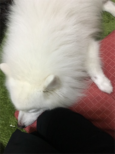 f:id:shirokun0806:20160401075741j:image f:id:shirokun0806:20160401075741j:image