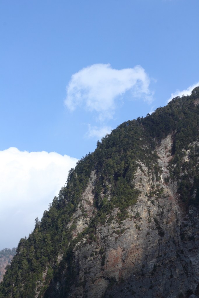 f:id:shishimaru40:20151106214643j:plain f:id:shishimaru40:20151106214643j:plain