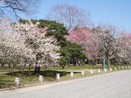 f:id:shiumachi:20040825010730j:image:right f:id:shiumachi:20040825010730j:image:right