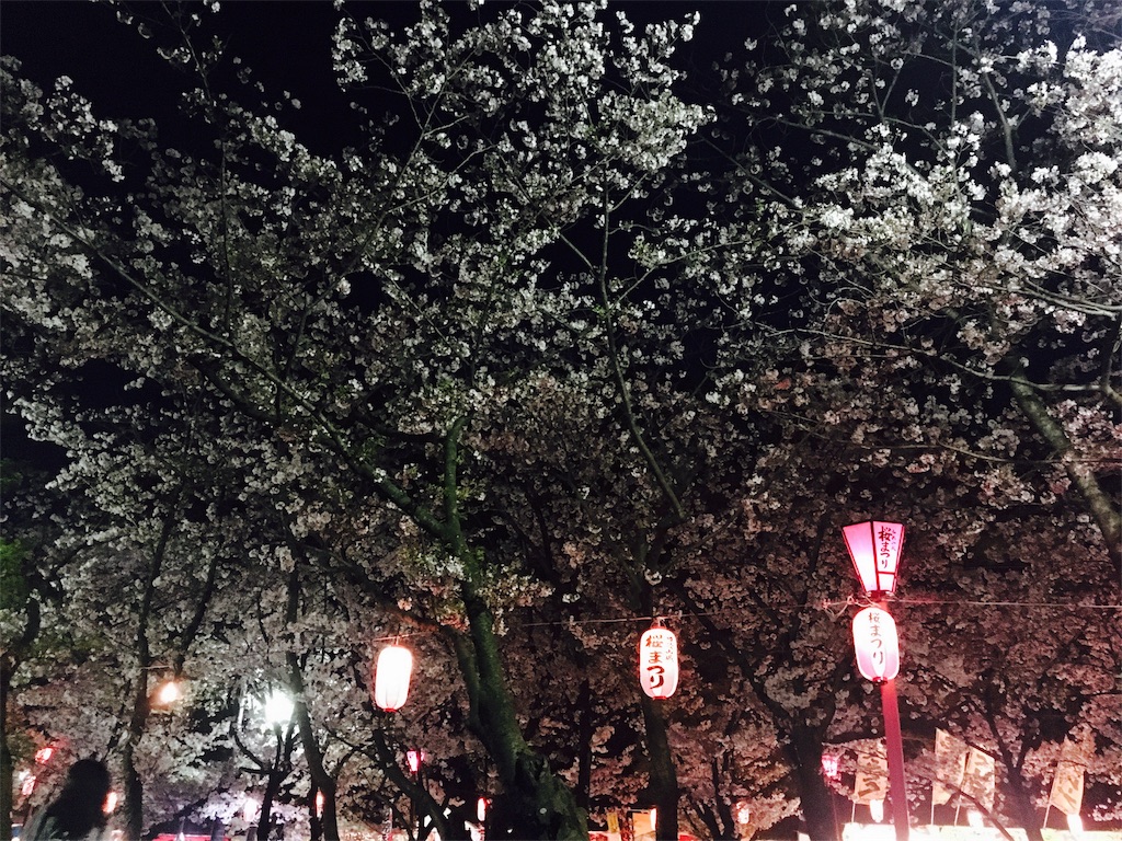 f:id:shkkpo:20160407210418j:image f:id:shkkpo:20160407210418j:image