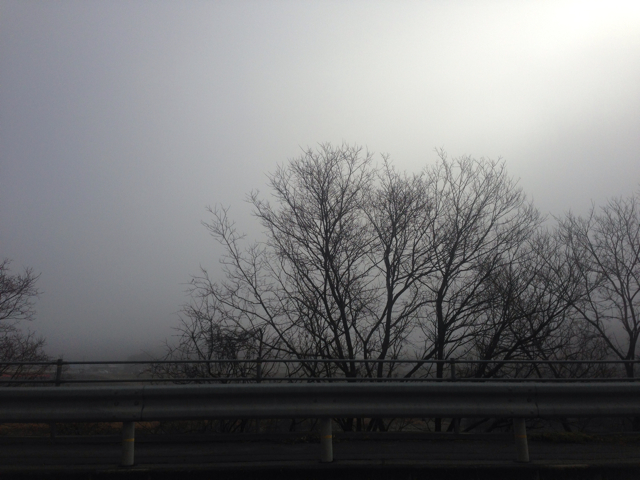 f:id:shobuno:20121229204447j:plain f:id:shobuno:20121229204447j:plain