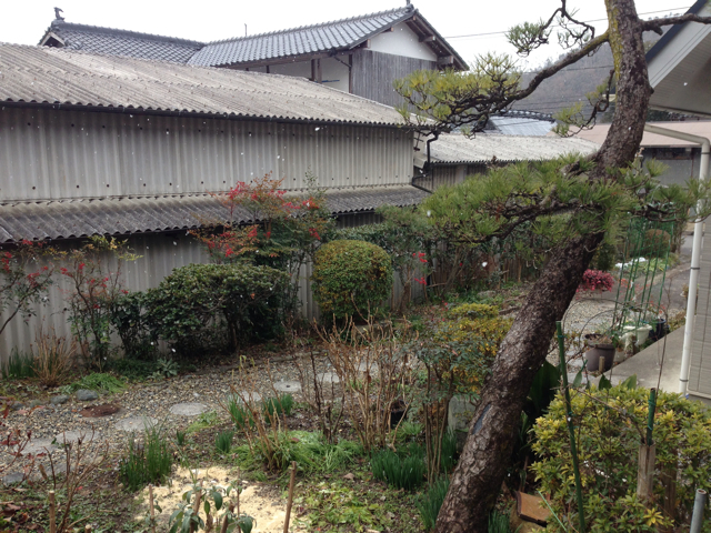 f:id:shobuno:20121231231324j:plain f:id:shobuno:20121231231324j:plain