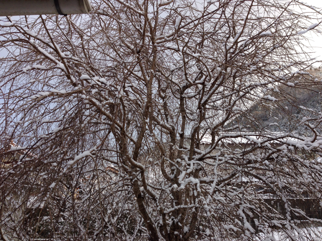 f:id:shobuno:20130104221941j:plain f:id:shobuno:20130104221941j:plain