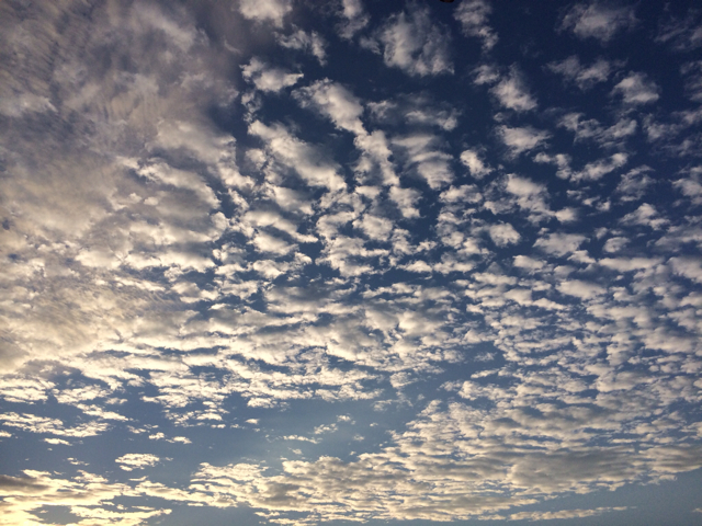 f:id:shobuno:20131004074812j:plain f:id:shobuno:20131004074812j:plain